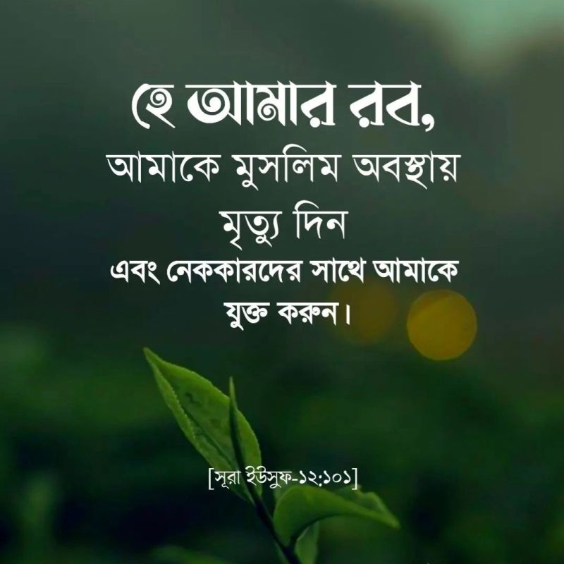 হে আমার রব, আমাকে মুসলিম অবস্থায় মৃত্যু দিন