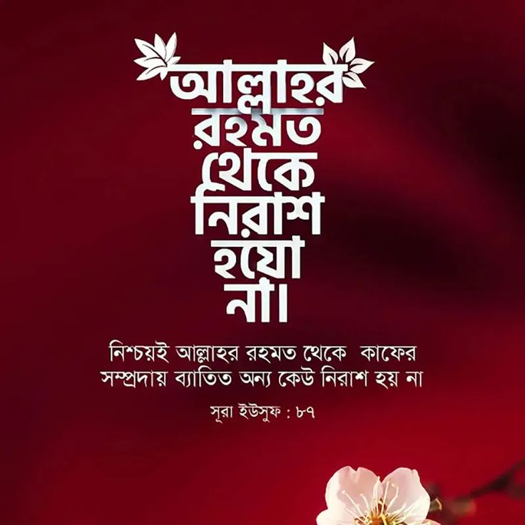 🤲 আল্লাহর রহমত থেকে নিরাশ হয়ো না